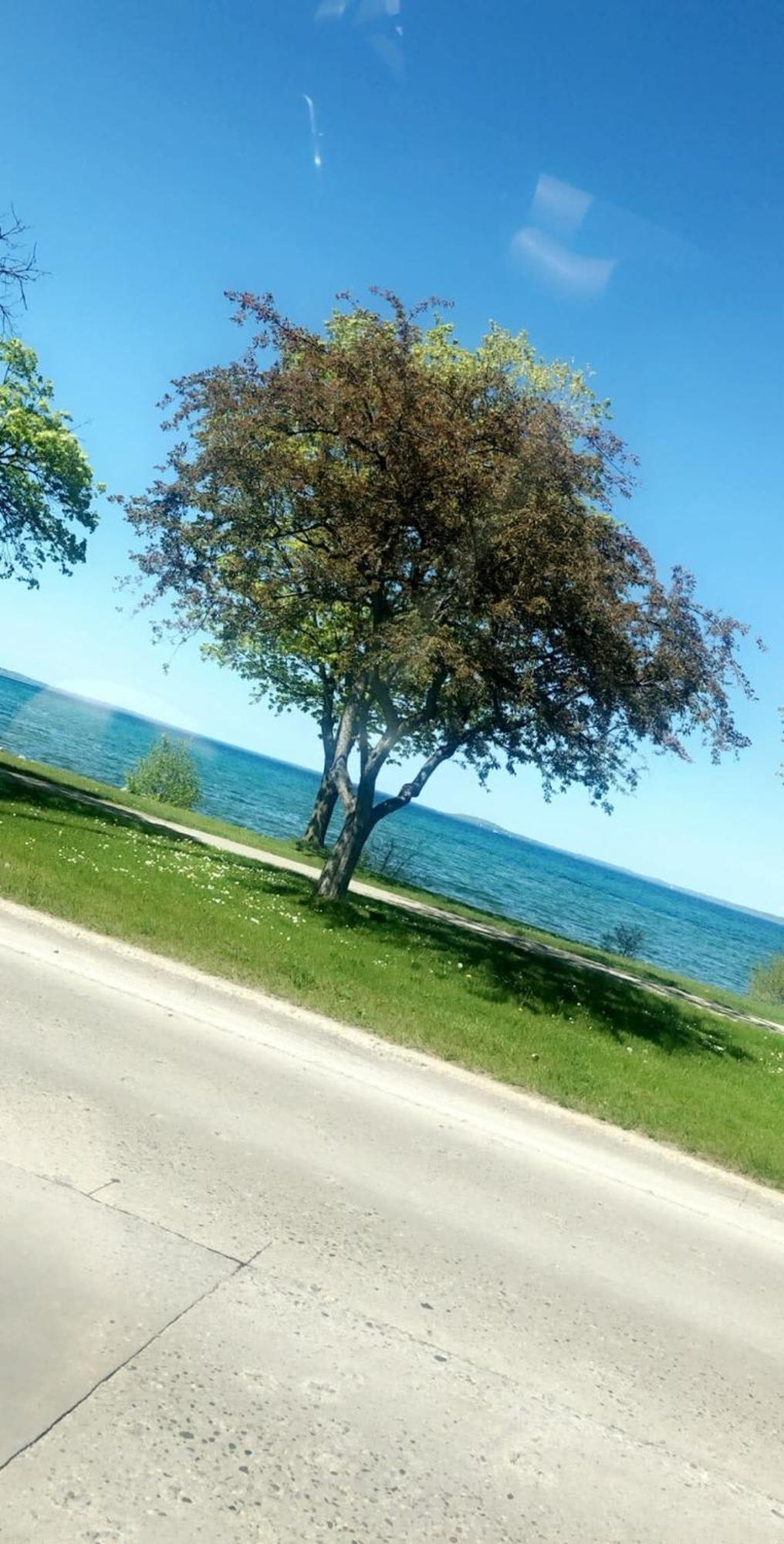 Downtown Traverse City Condo - Capri 209 Eksteriør bilde